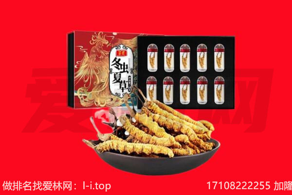 昌都察雅县回收虫草.jpg